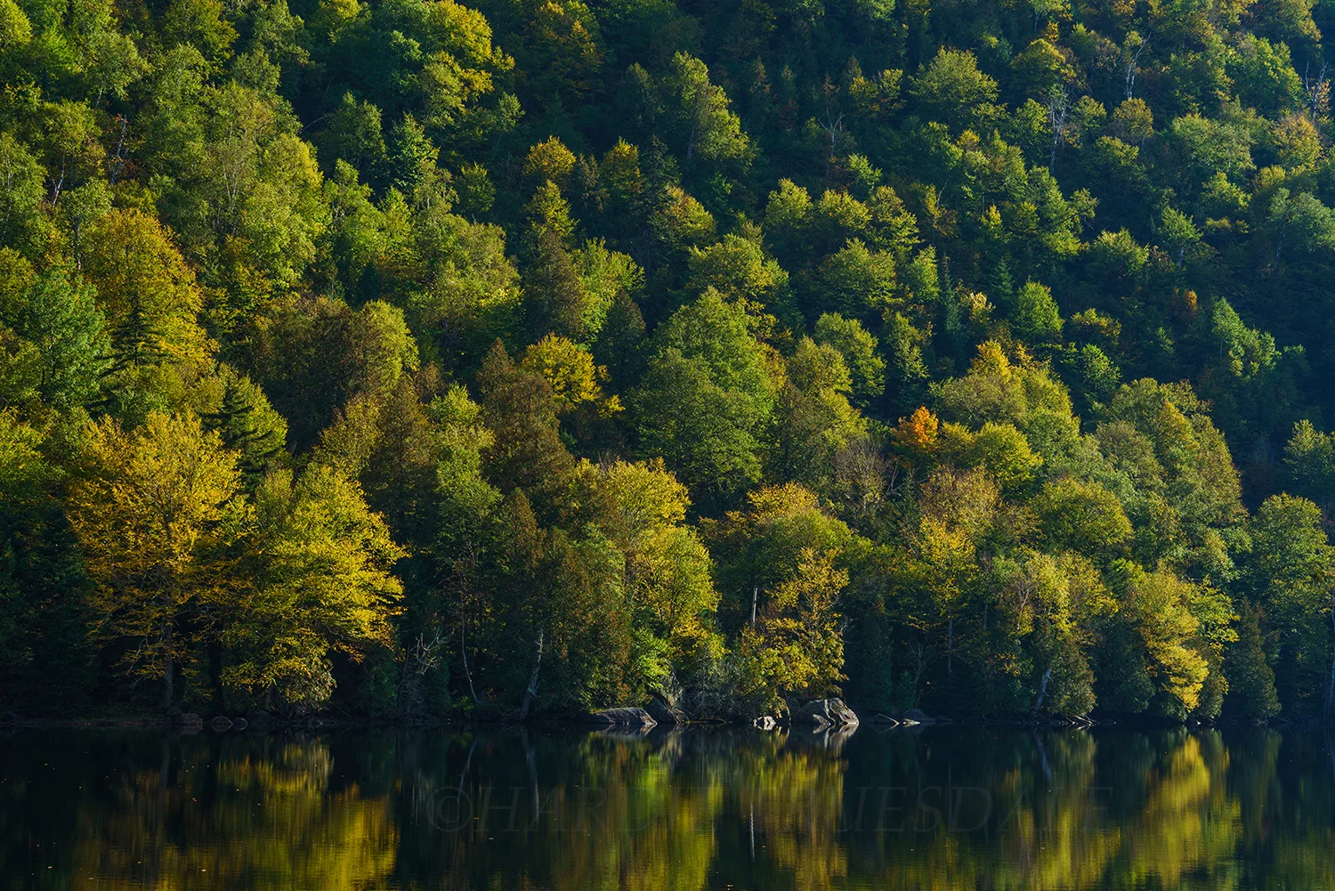 Adk#182 "Early Fall, Upper Cascade Lake"