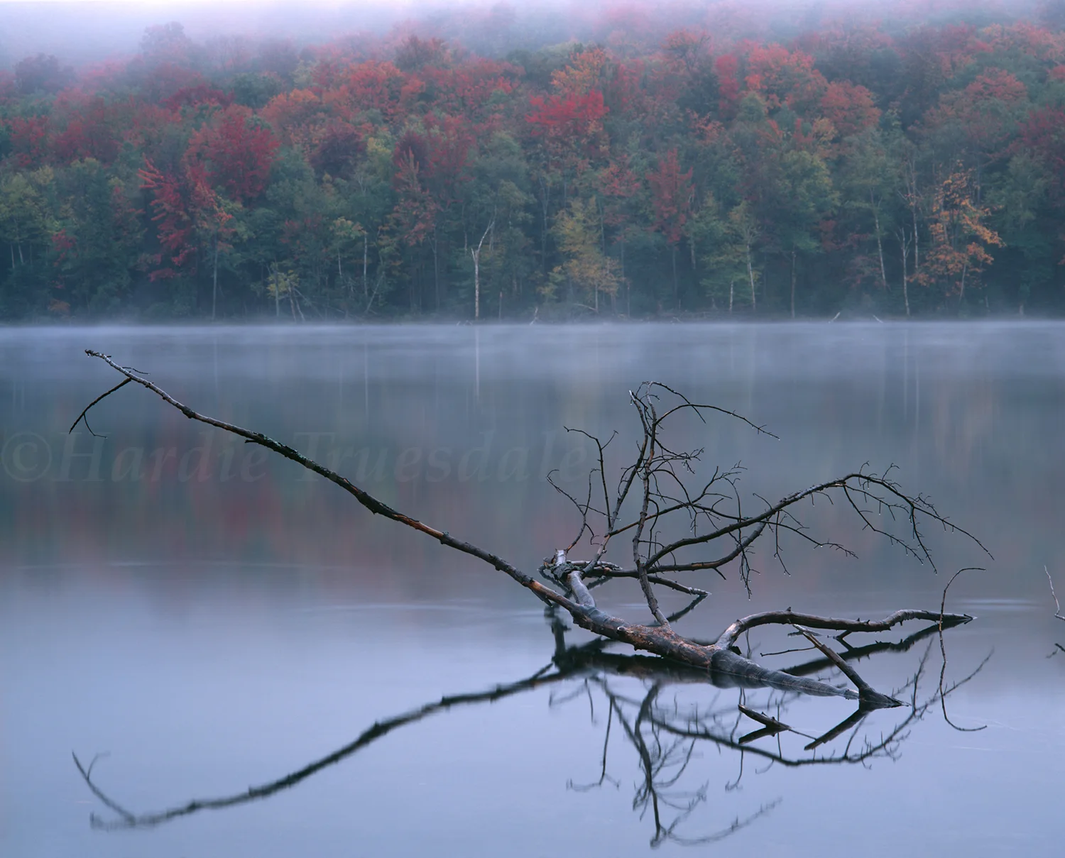 Adk#22 "Fall Snag, Heart Lake"