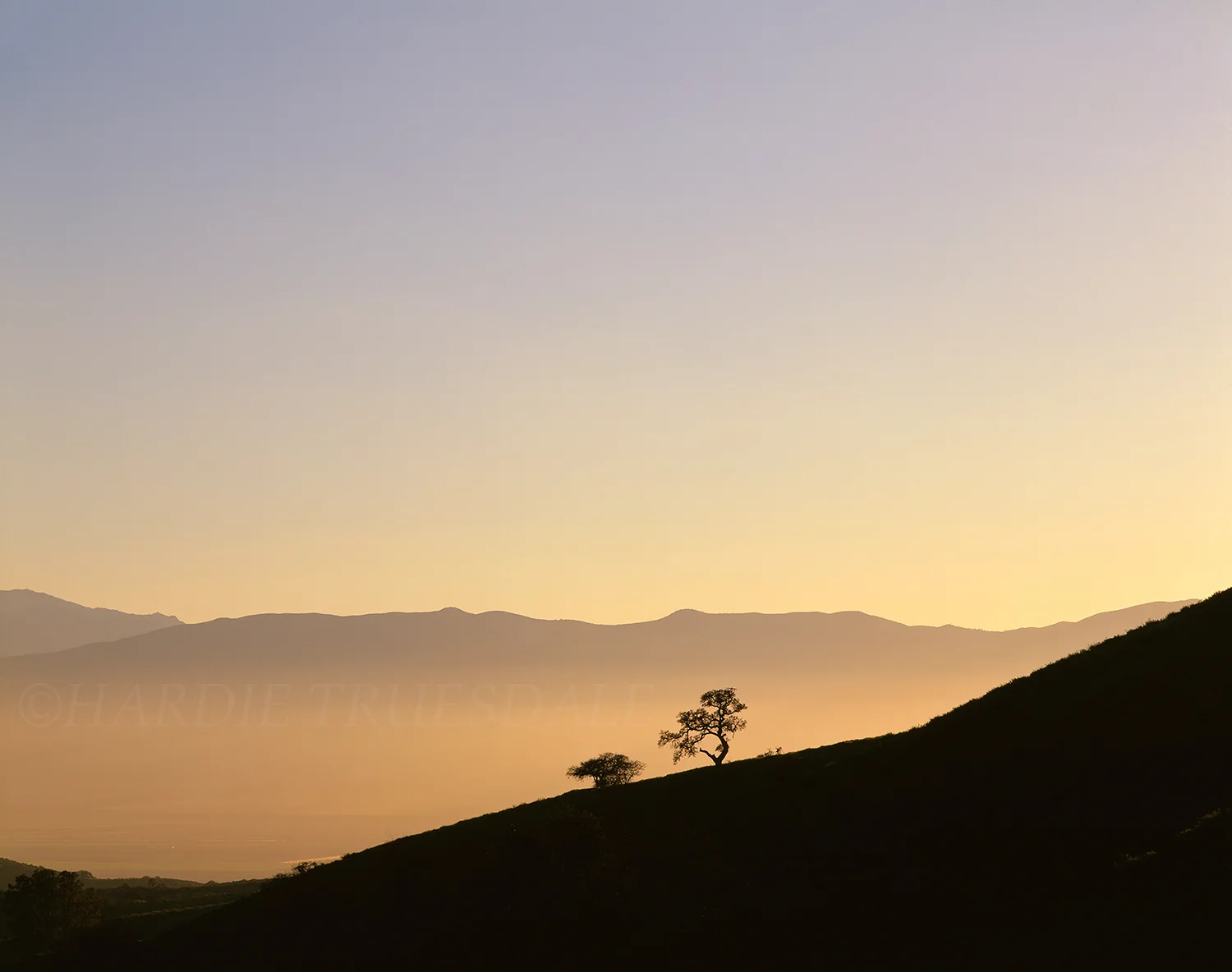 CA#17 "Salinas Valley Dusk"