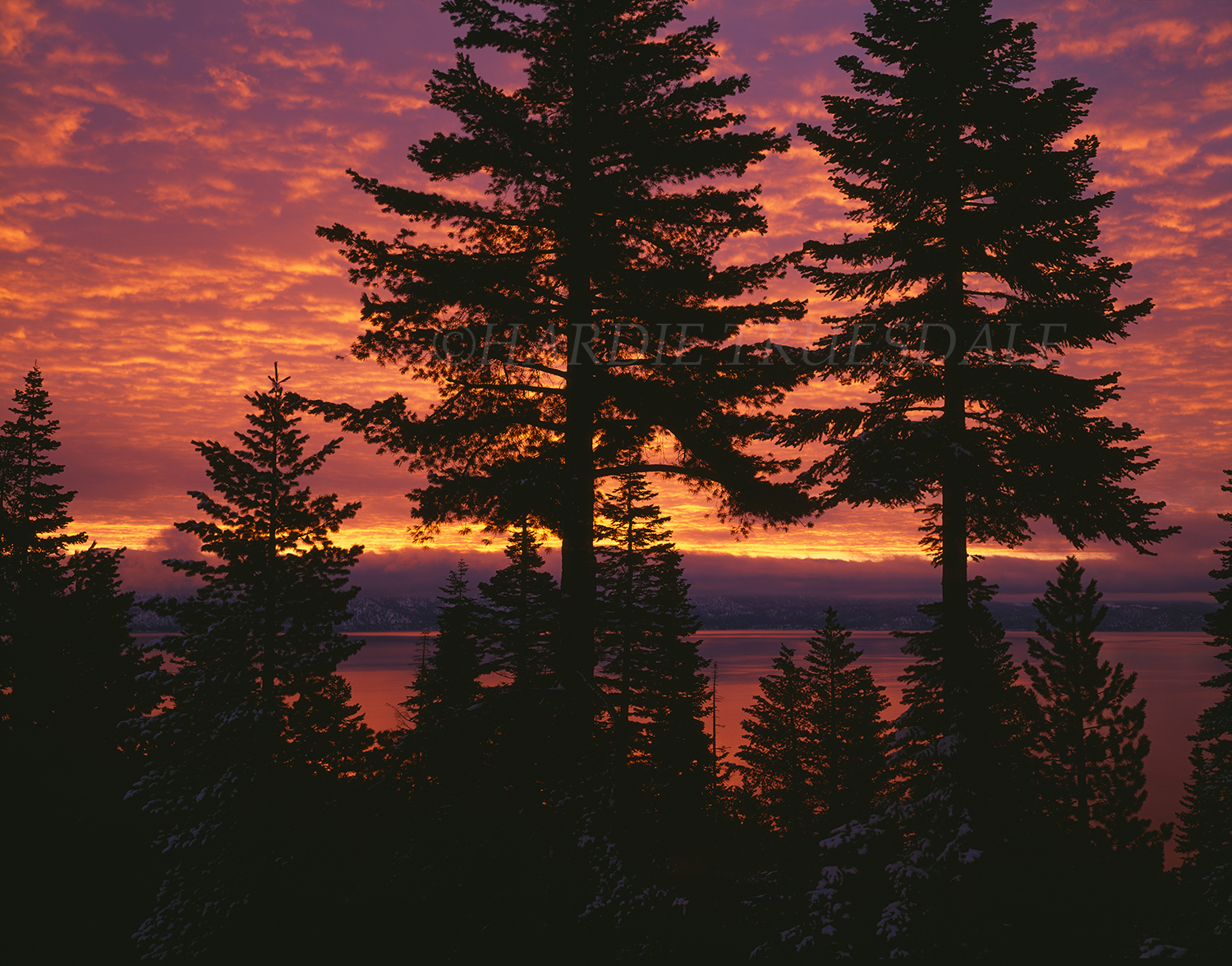 CA#20 "Sunrise, Lake Tahoe"