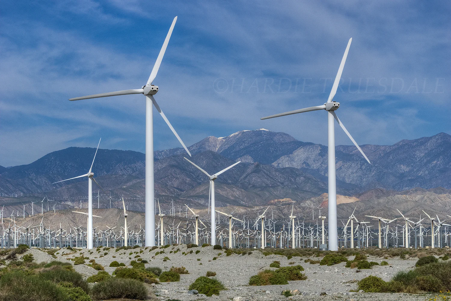 CA#143 "Windmills, Palm Springs"