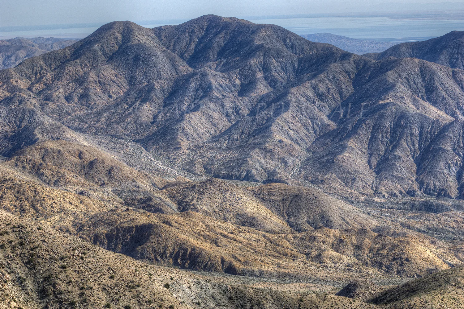 CA#146 "Keys View, Joshua Tree"