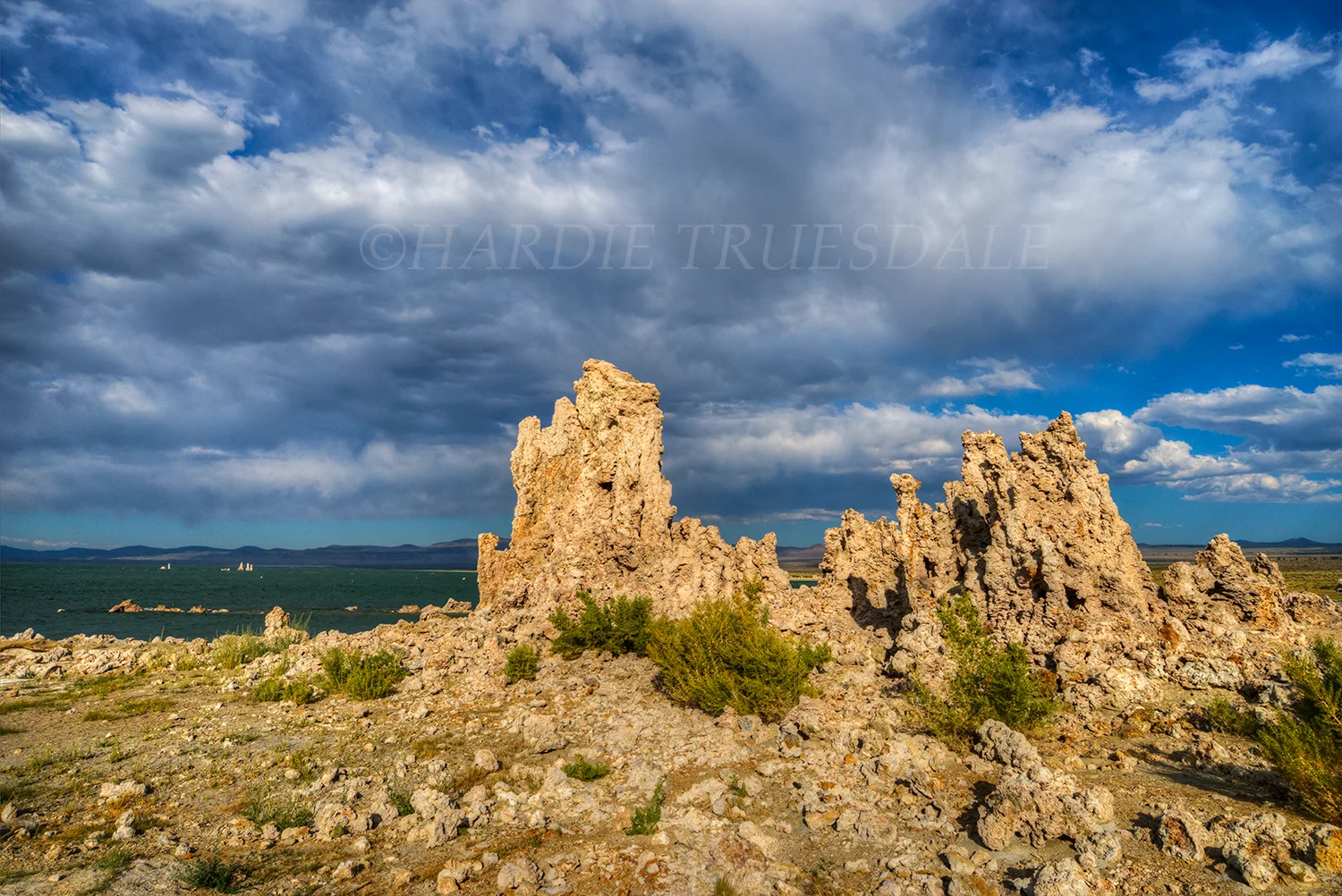 CA#163 "Tufas, Mono Lake"