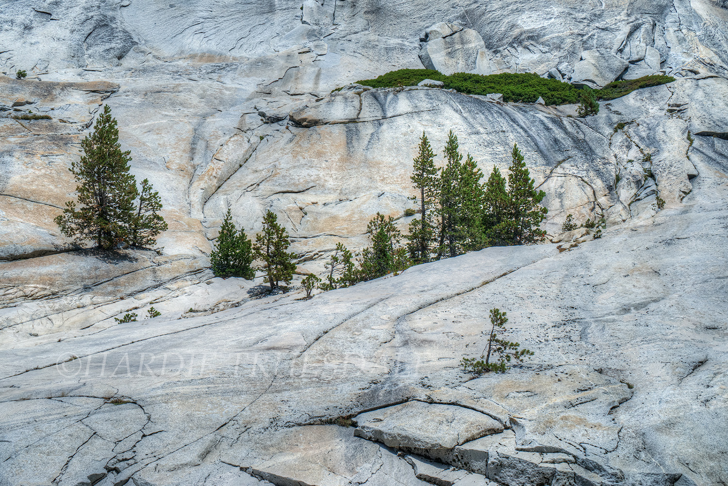 CA#166 "Granite Environs, Yosemite"