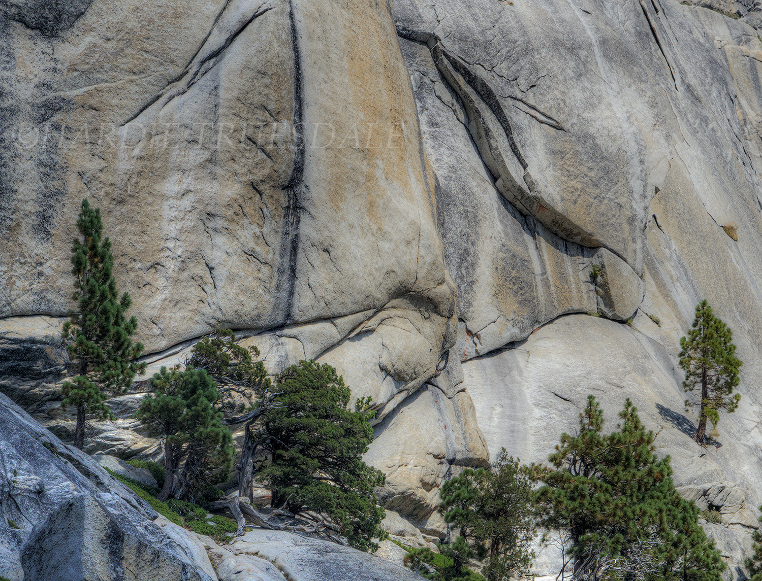 CA#173 "Cliff Environs, Yosemite"