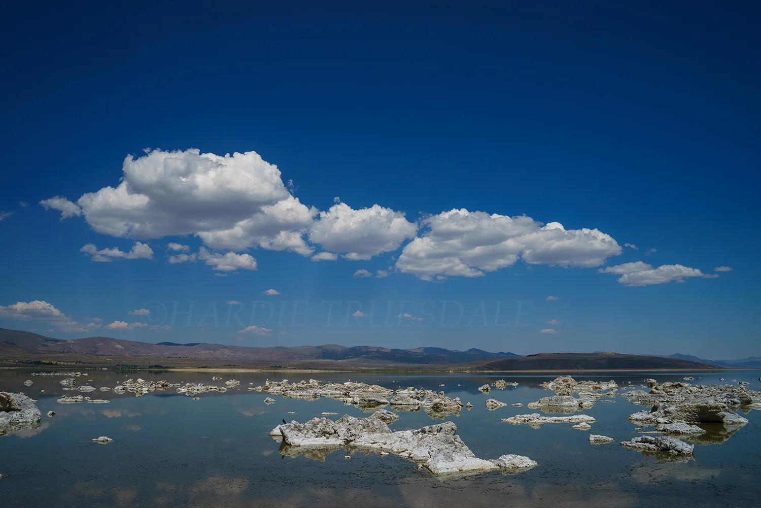 CA#176 "Tufas and Clouds, Mono Lake"