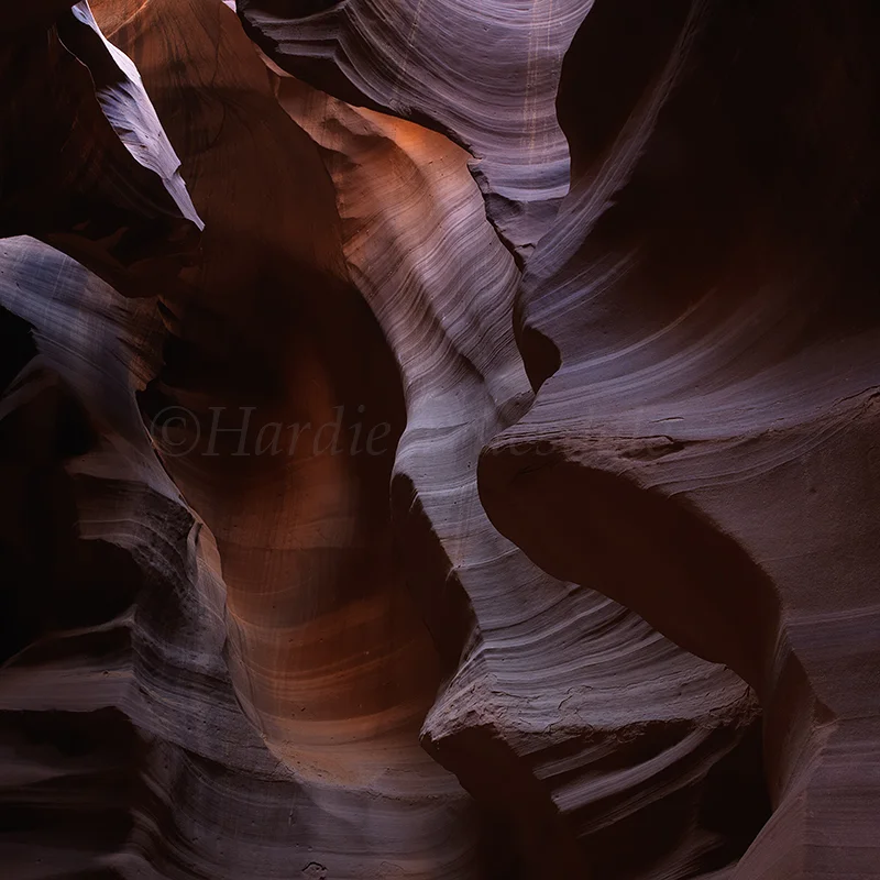 AZ#94 "Purple Patterns, Antelope Canyon"