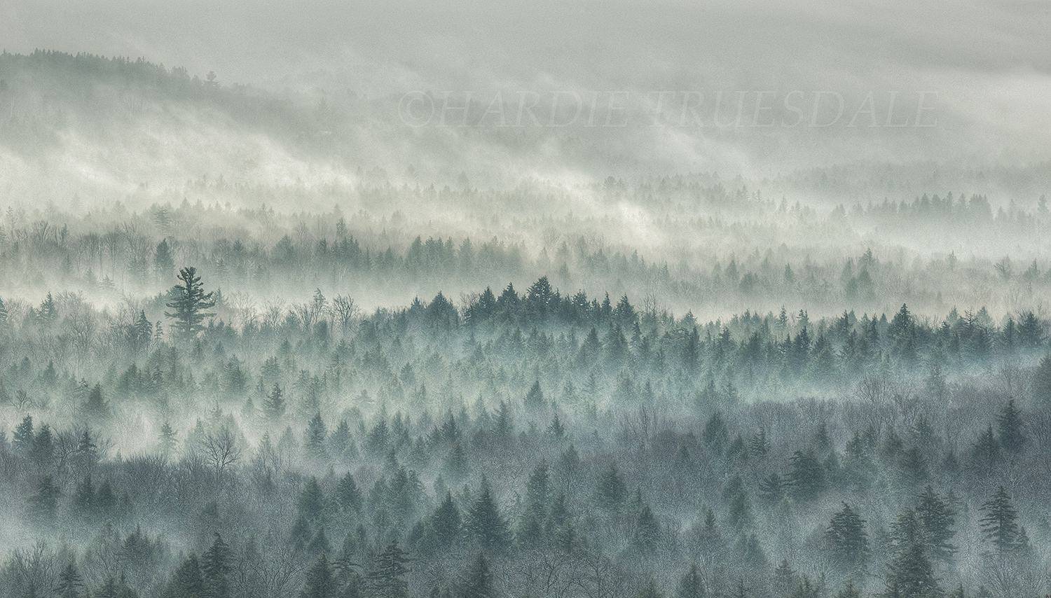 VT#33 "Trees and Mist, Green Mountains"
