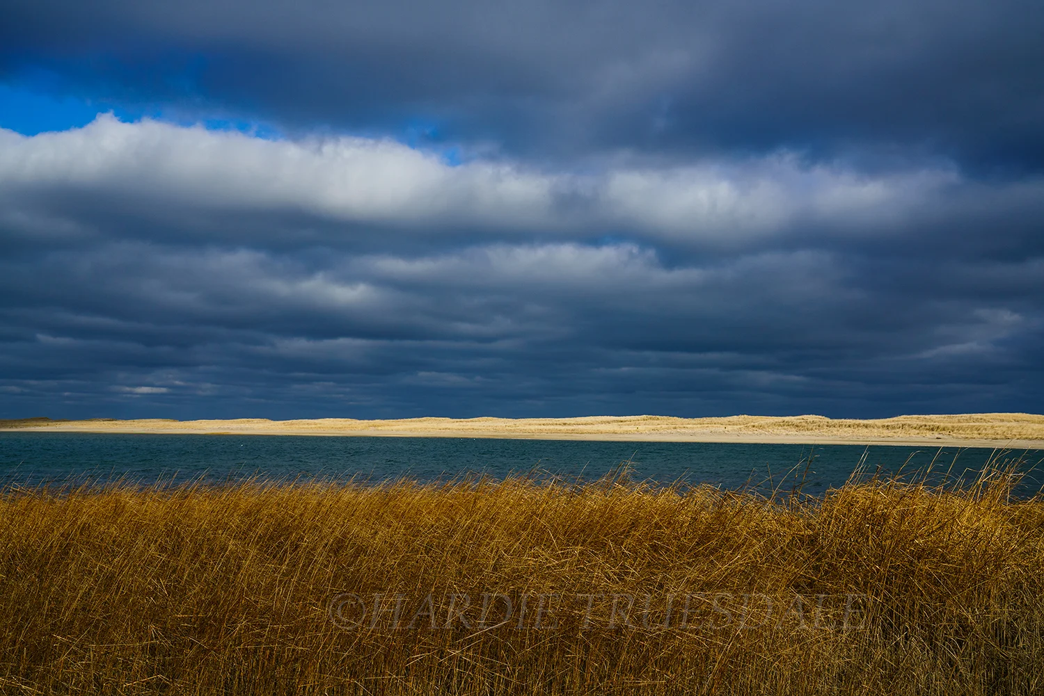 CC#224 "Storm Light, Nauset Marsh"
