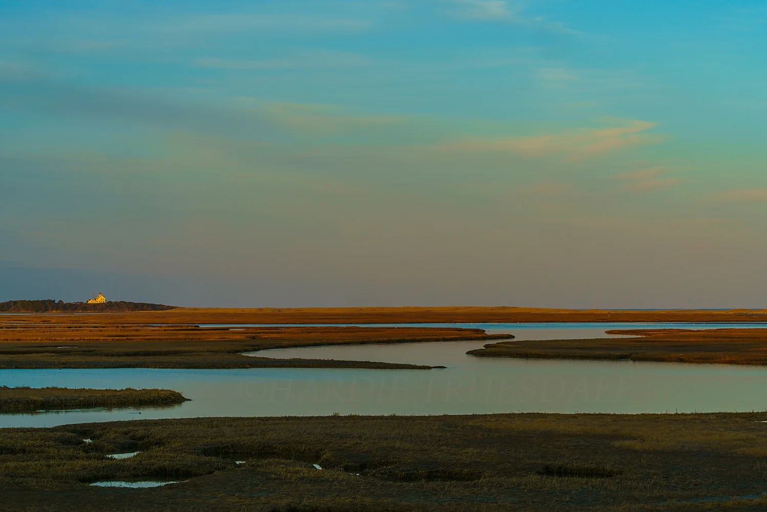 CC#226 "Evening, Nauset Marsh"
