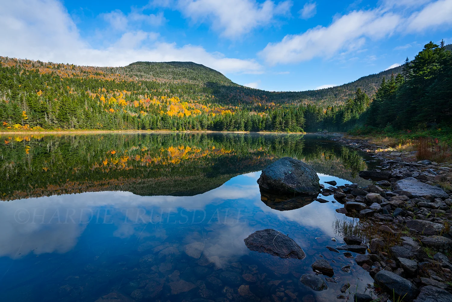 NH#114 "Still Morning" East Pond