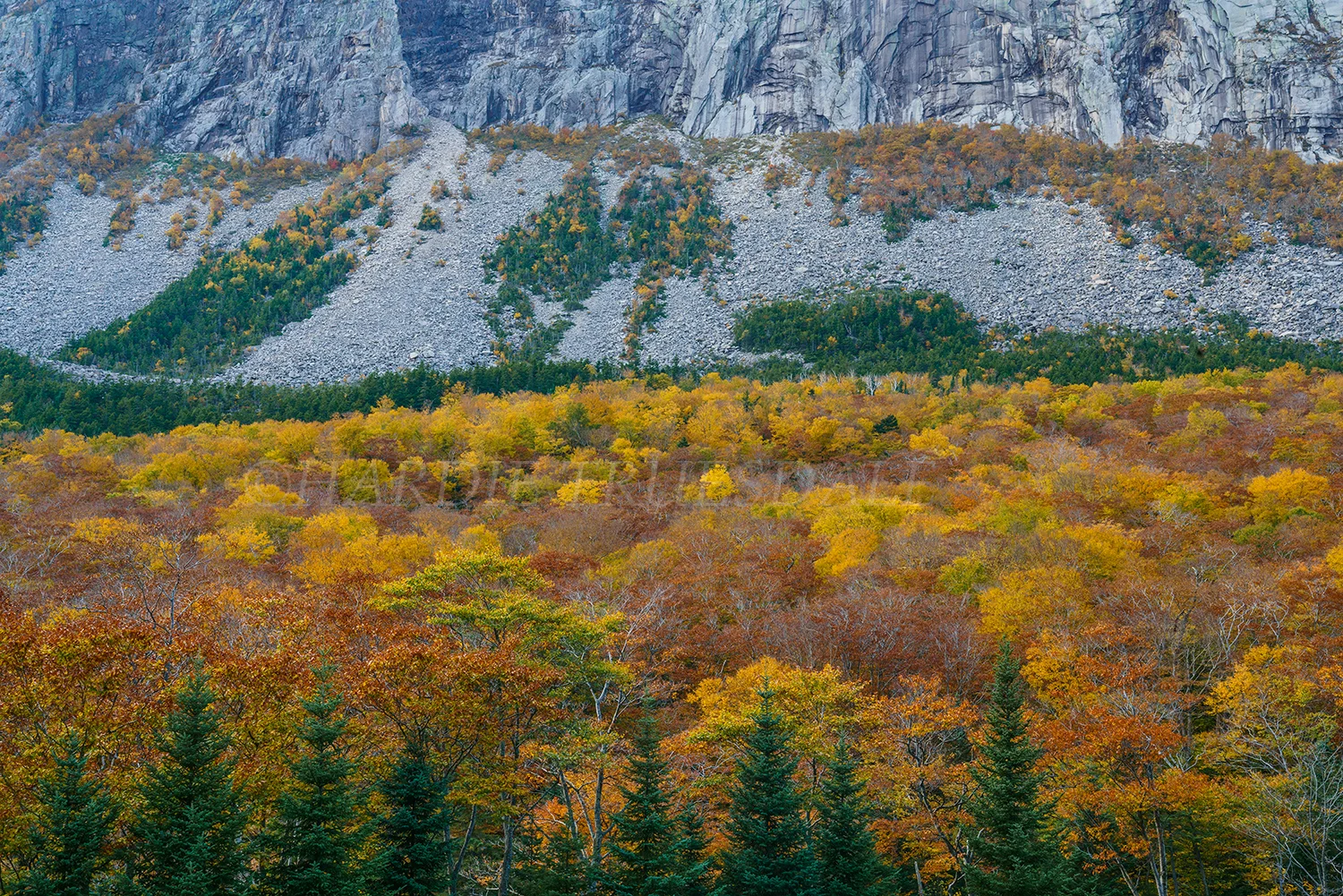 NH#115 "Cannon Cliff Fall" Franconia Notch