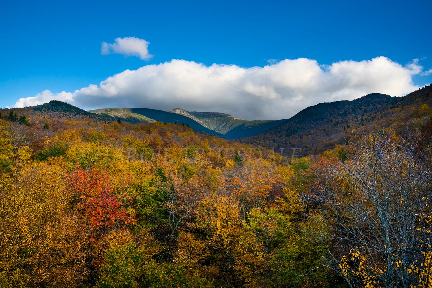 NH#116 "Skookumchuck Brook Valley Fall"