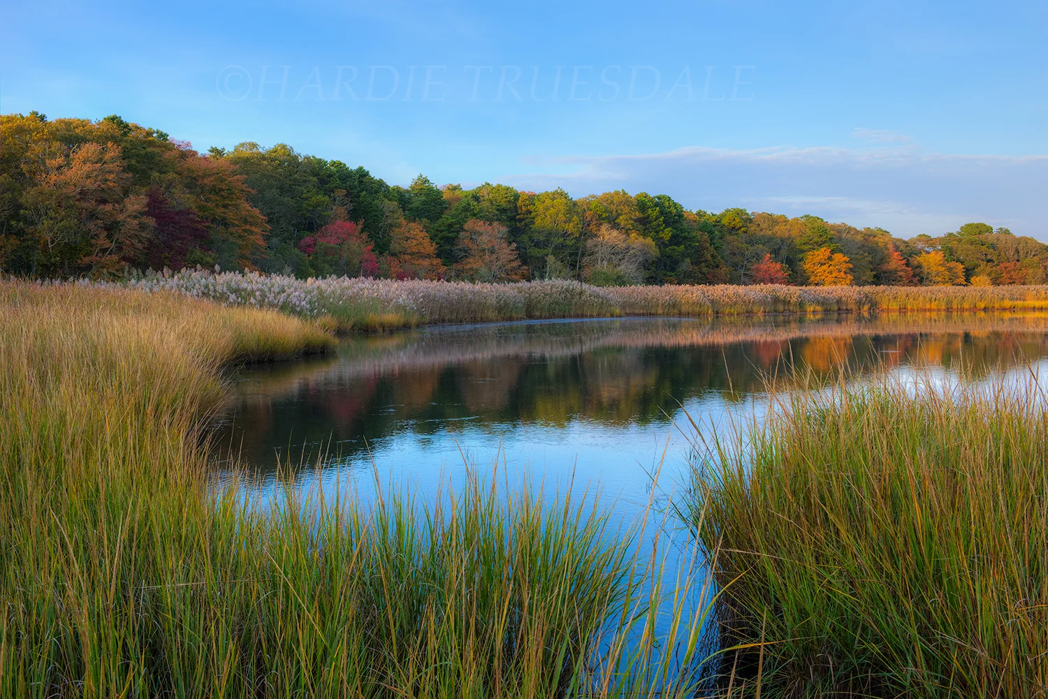 CC#202 "Bells Neck Conservation Lands"