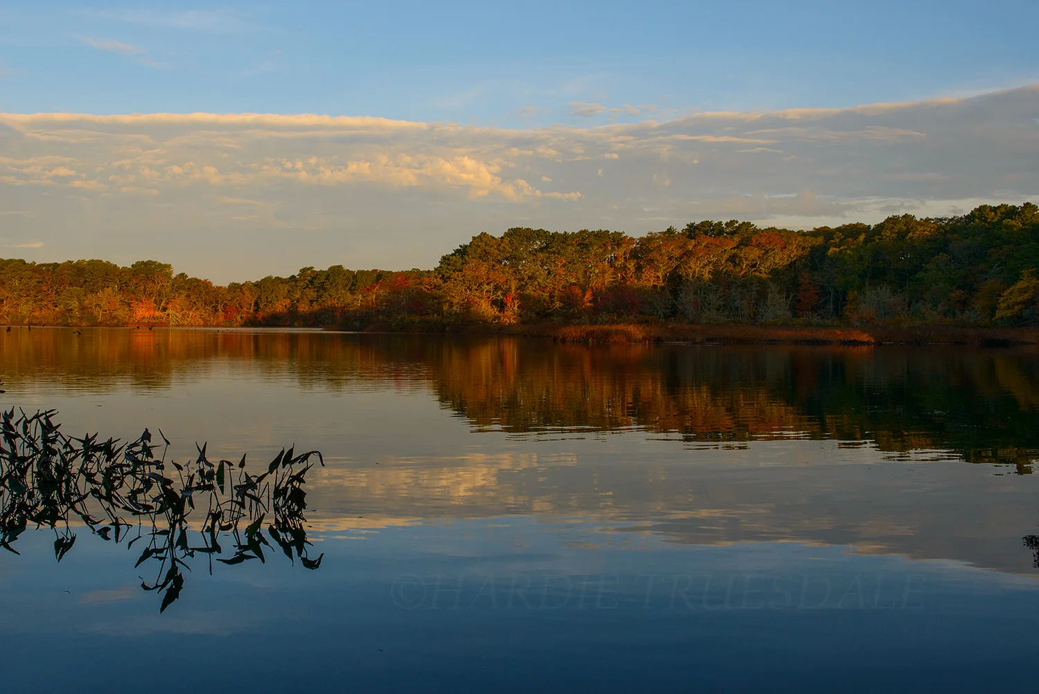 CC#203 "West Reservoir Fall" Bells Neck Conservation Area