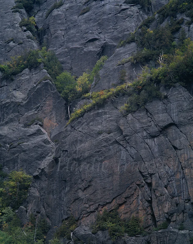 Adk#006 "Colden Cliffs from Avalanche Lake"