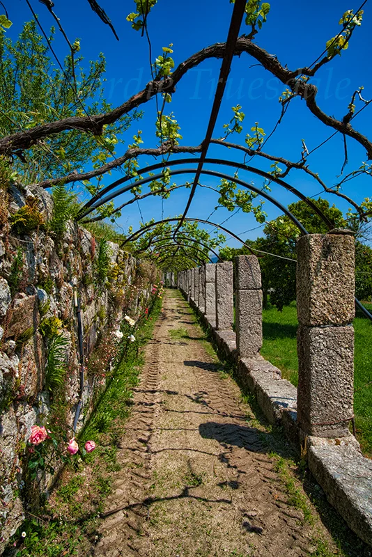 PT#026 "Casa de Pascoaes" Telxeira {Poets House}, Amarante