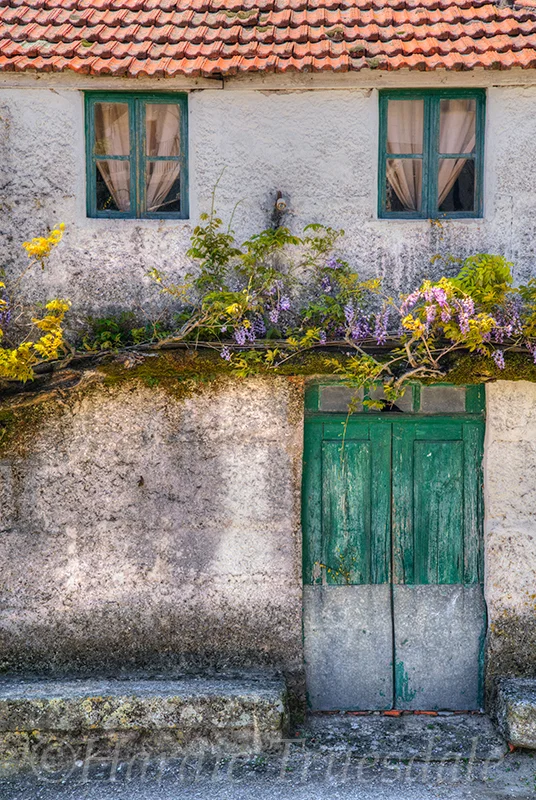 PT#028 "Flowered Door" Baiao Village
