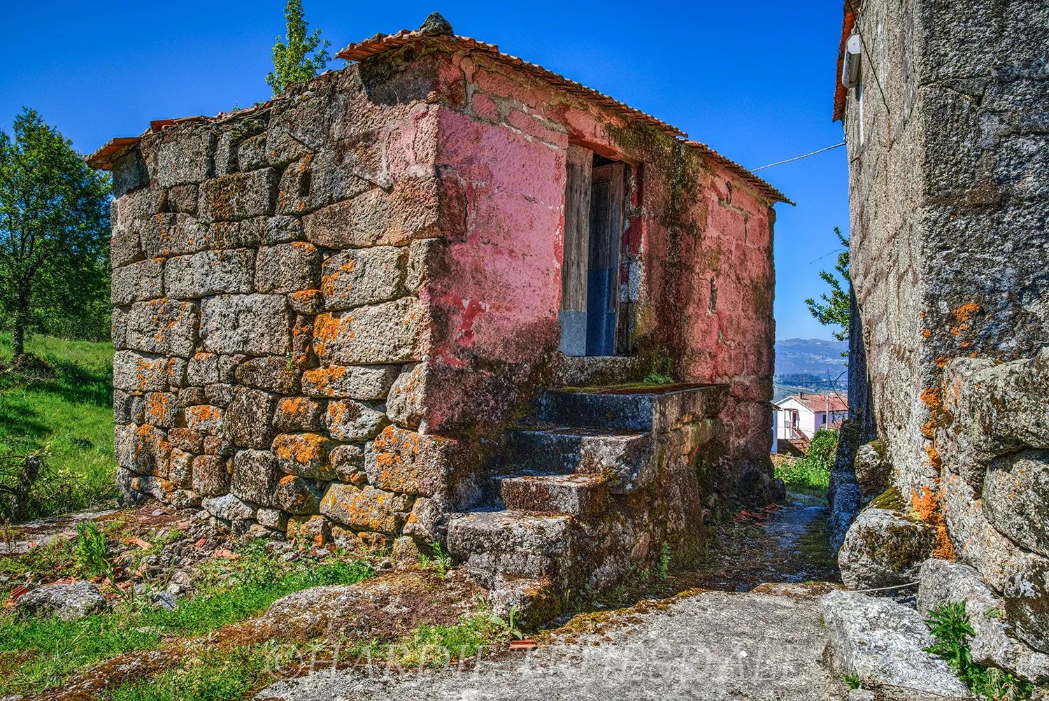 PT#030 "Pretty in Pink" Amarante