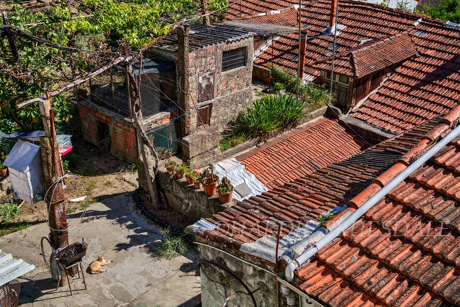 PT#040 "Catio Courtyard" Villa de nova Gala