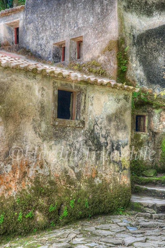 PT#043 "Windows and Walls" Convent de Capuchos (1560) Sintra