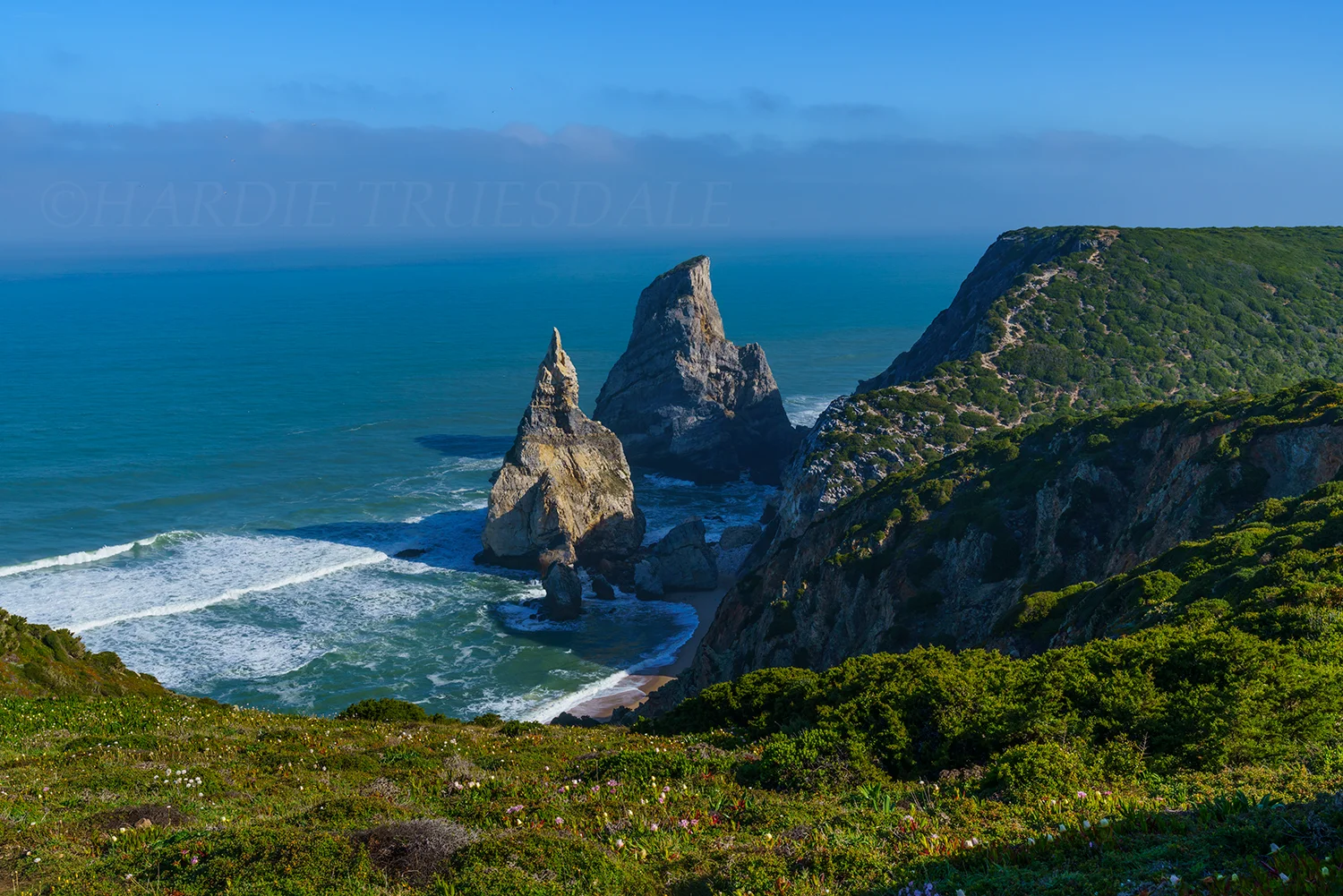 PT#044 "Flowers, Seastacks, and Ursa Beach"