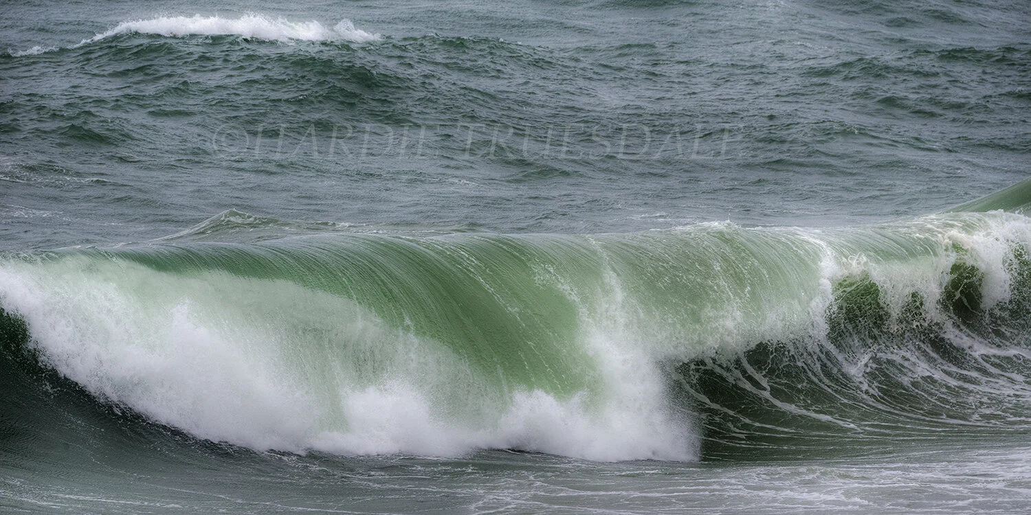 CC#142 "Soft Waves, Coast Guard Beach"