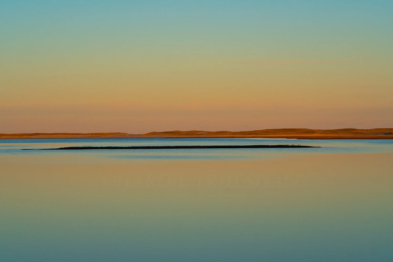 CC#255 "Magical, Nauset Marsh"