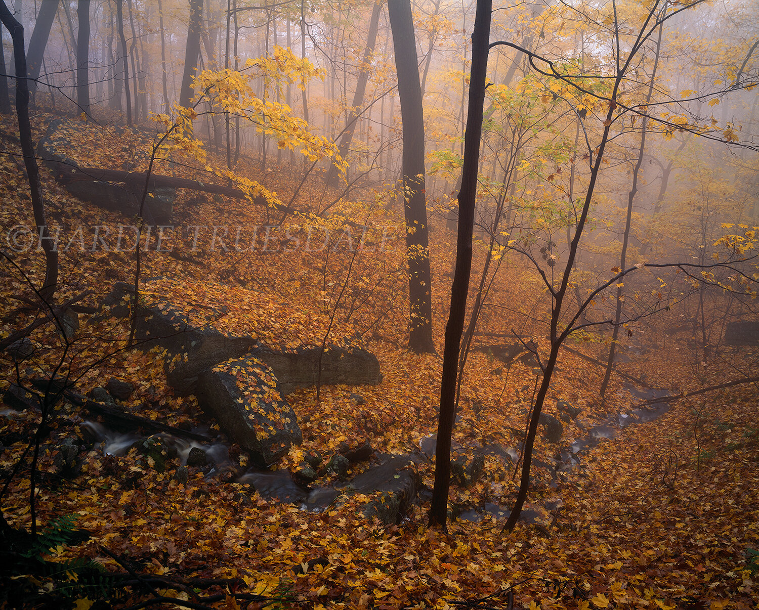 Gks#363 "Fall Mist, Sleepy Hollow"