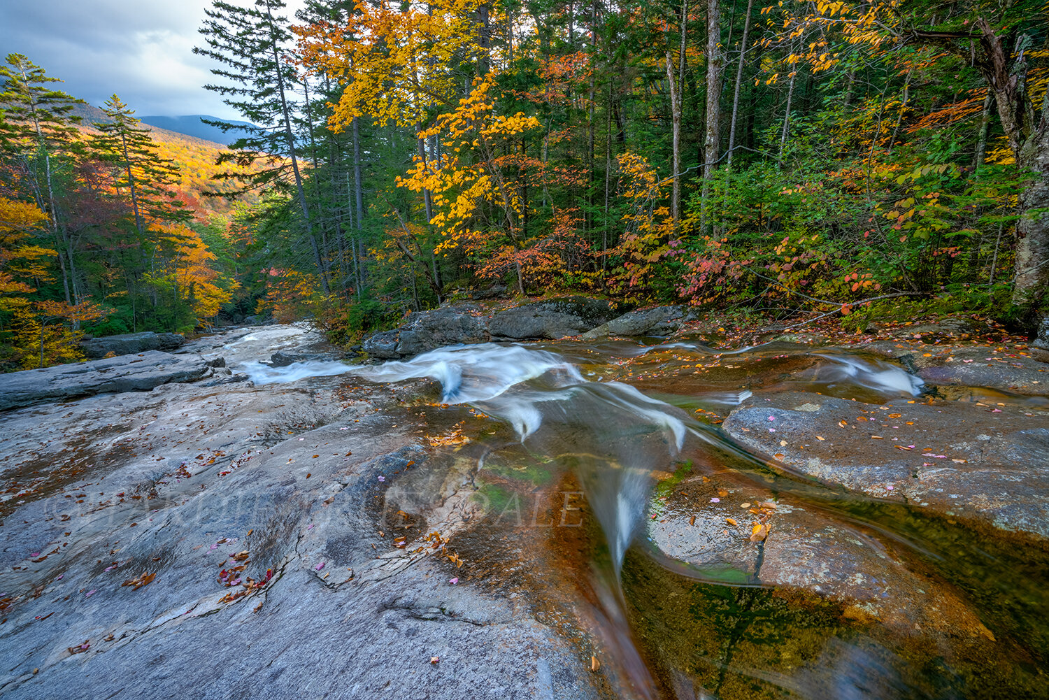 NH#123 "Fall Views from Cascade Brook"