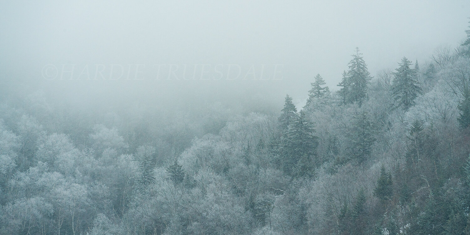 Adk#196 "Frozen Mountainside, Pitchoff"