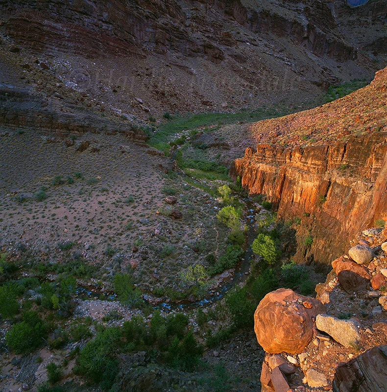 AZ 083 sq web.jpg