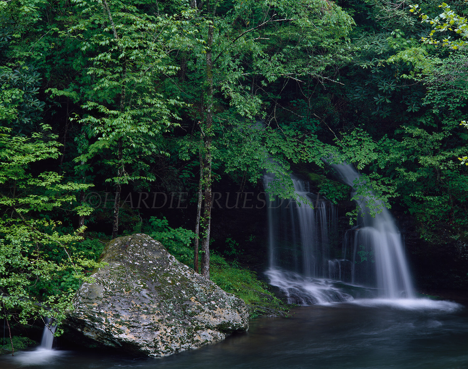TN#005 Waterfall, Laurel Creek, Great Smoky Mtns National Park, TN