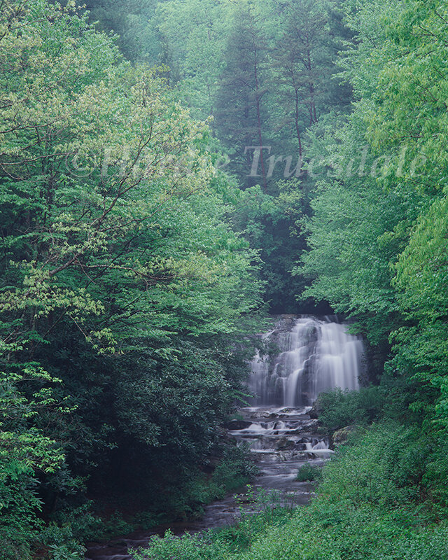 TN#006 Waterfall, Great Smoky Mountains National Park, TN