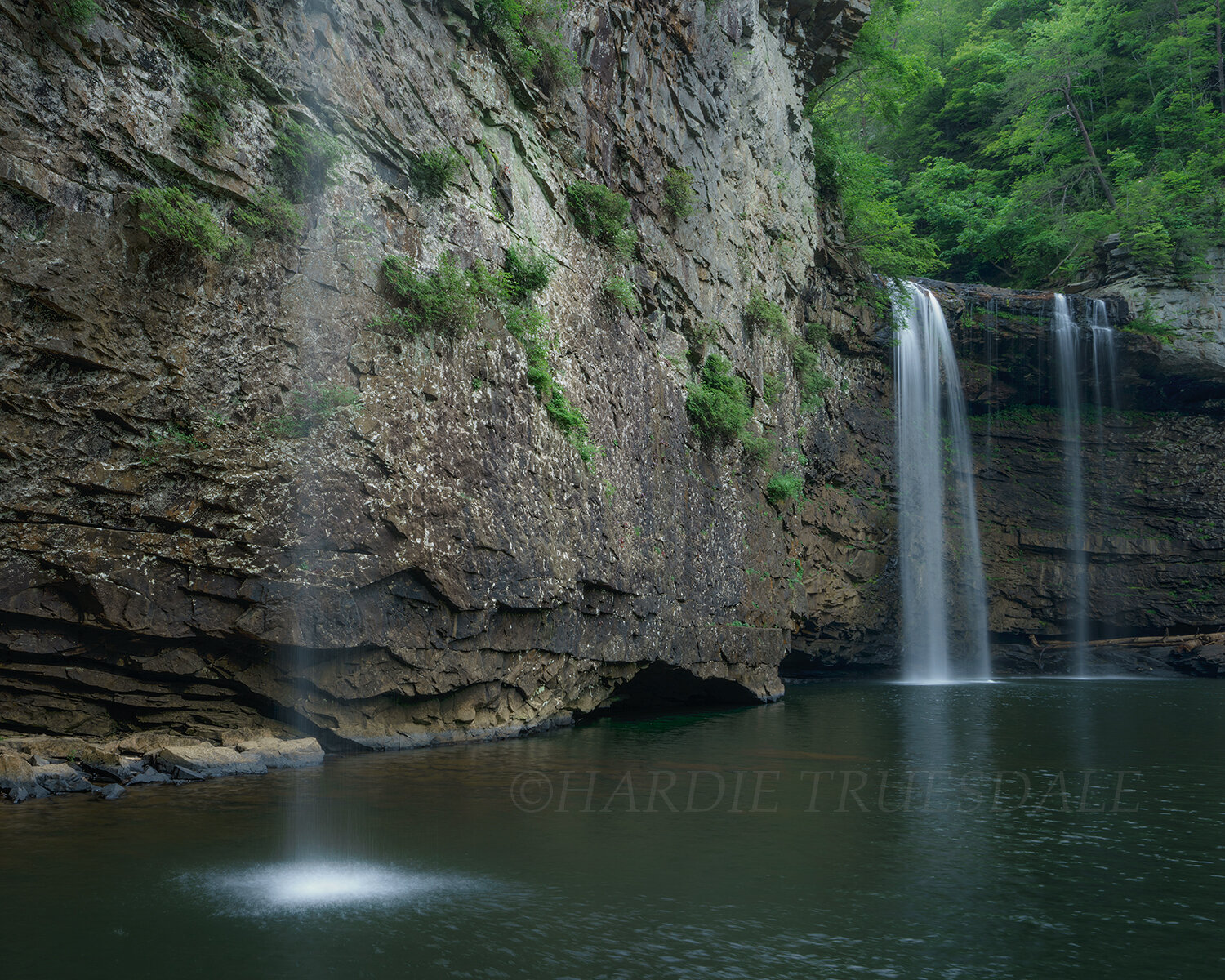 TN#041 Cane Creek Falls, Fall Creek Falls State Park, TN