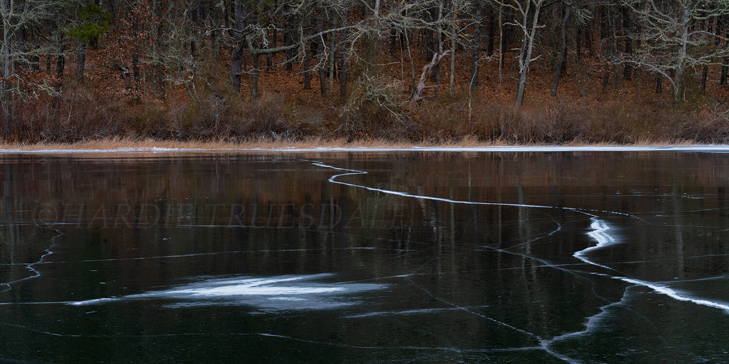 CC#279 Black Ice, Three Ponds Conservation Area