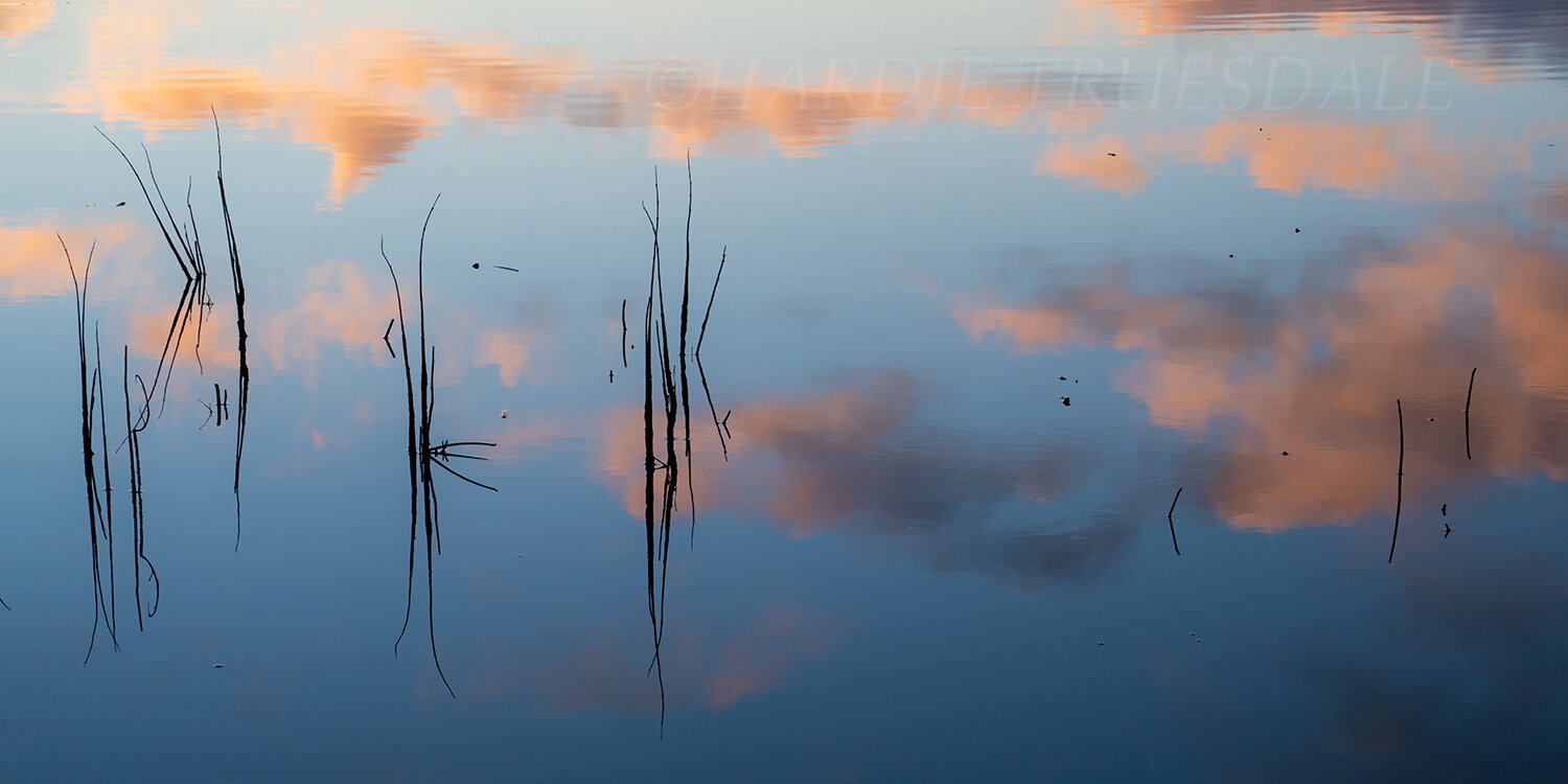 CC#325 Twinings Sunset, Three Ponds Conservation Area