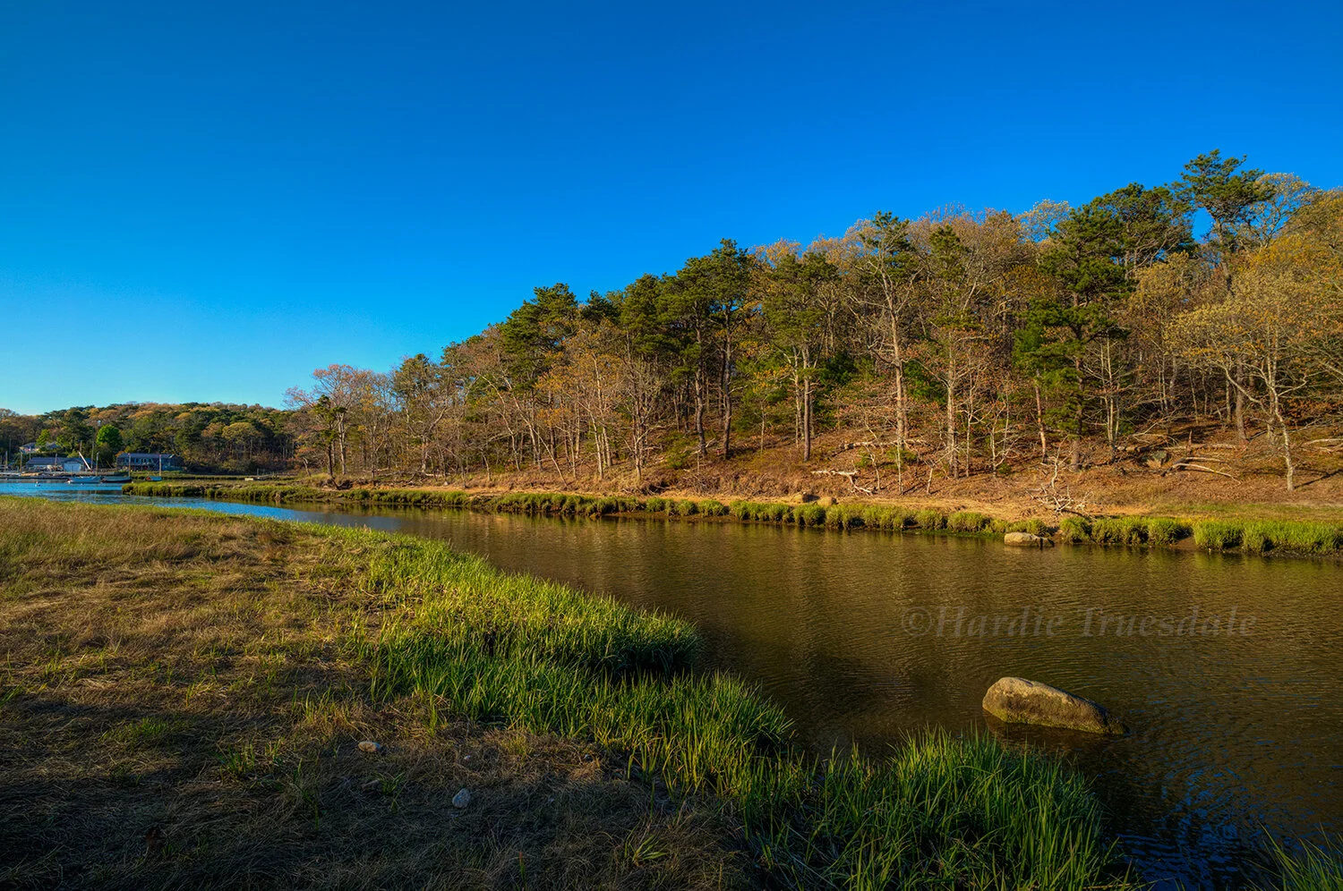 CC#347 Namequoit River, Kenrick Woods Conservation Area