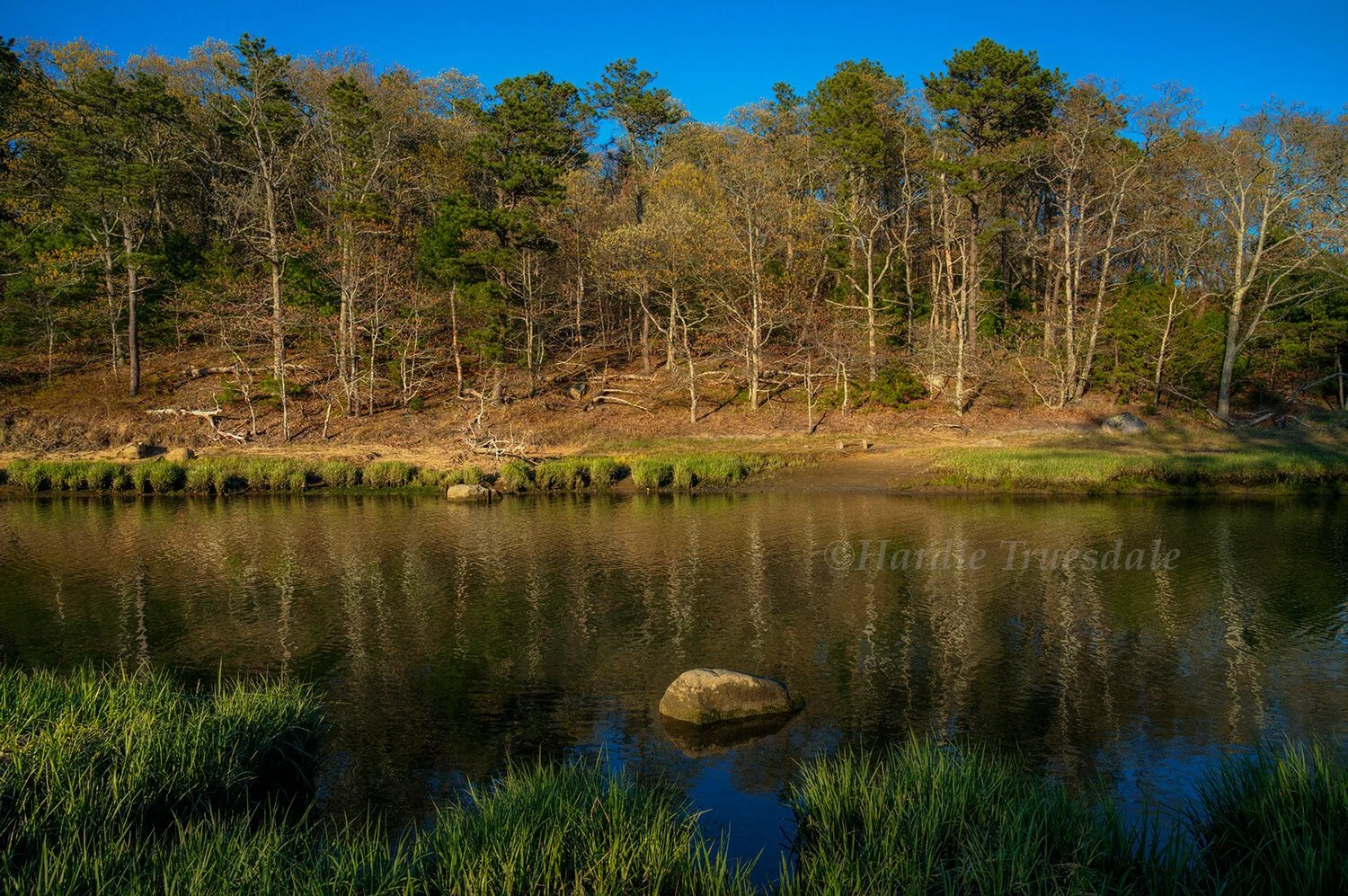 CC#348 Evening Namequoit River, Kenrick Woods Conservation Area