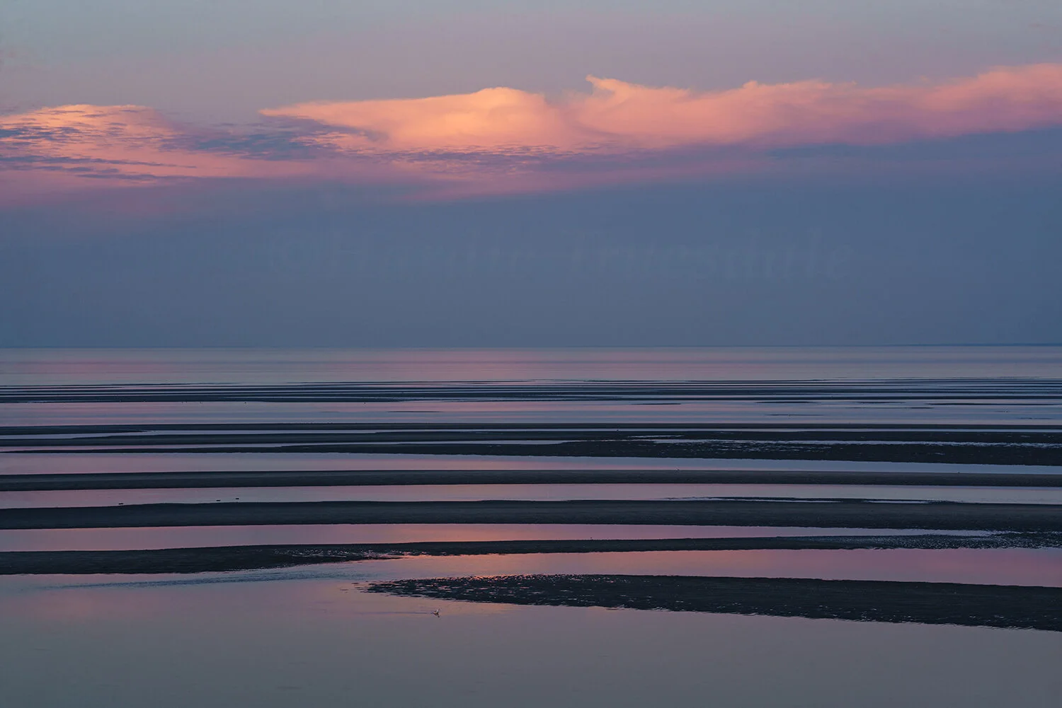 CC#335 Dusk, Brewster Flats