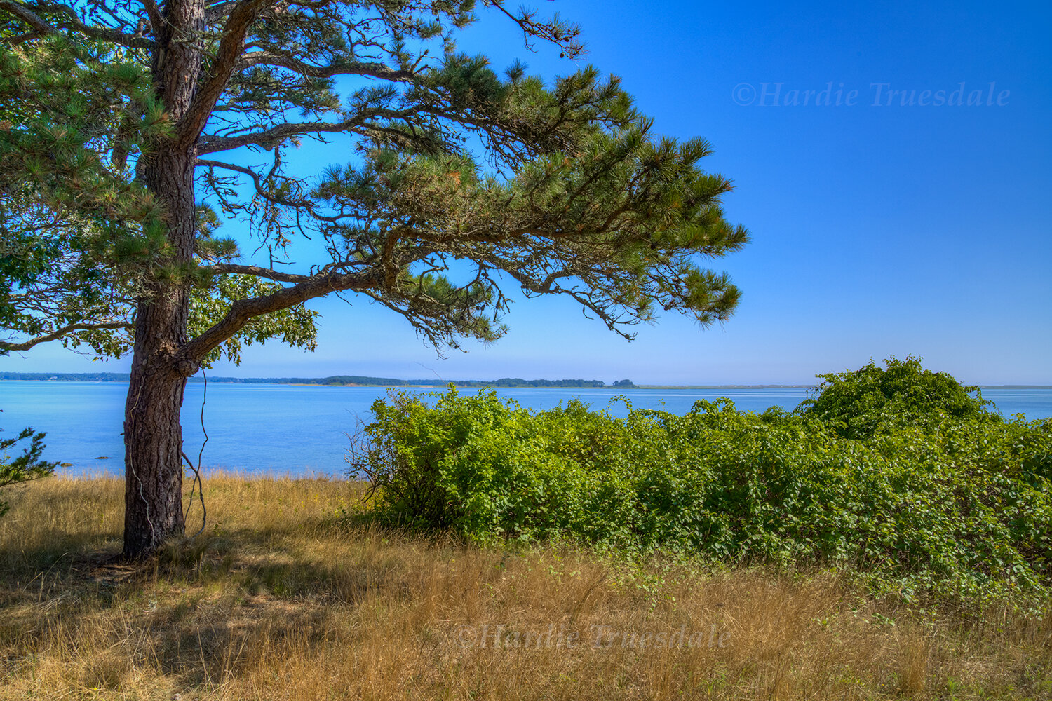 CC#374 Summer Views, Sipson Island Trust