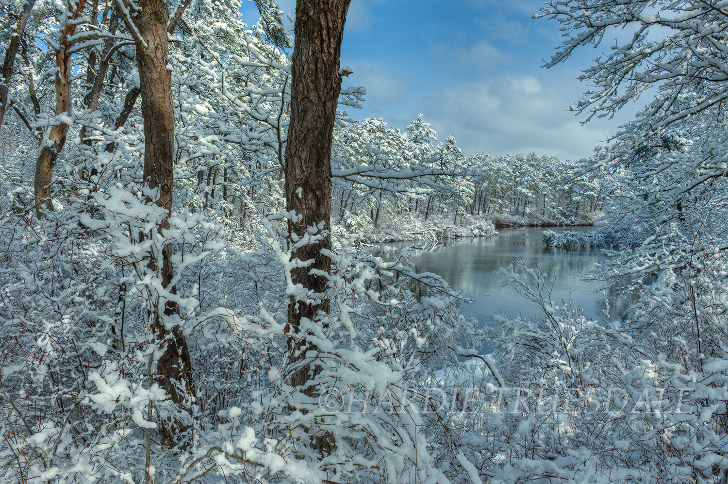 CC#028 Keeler Pond Snowfall, Nickerson State Park