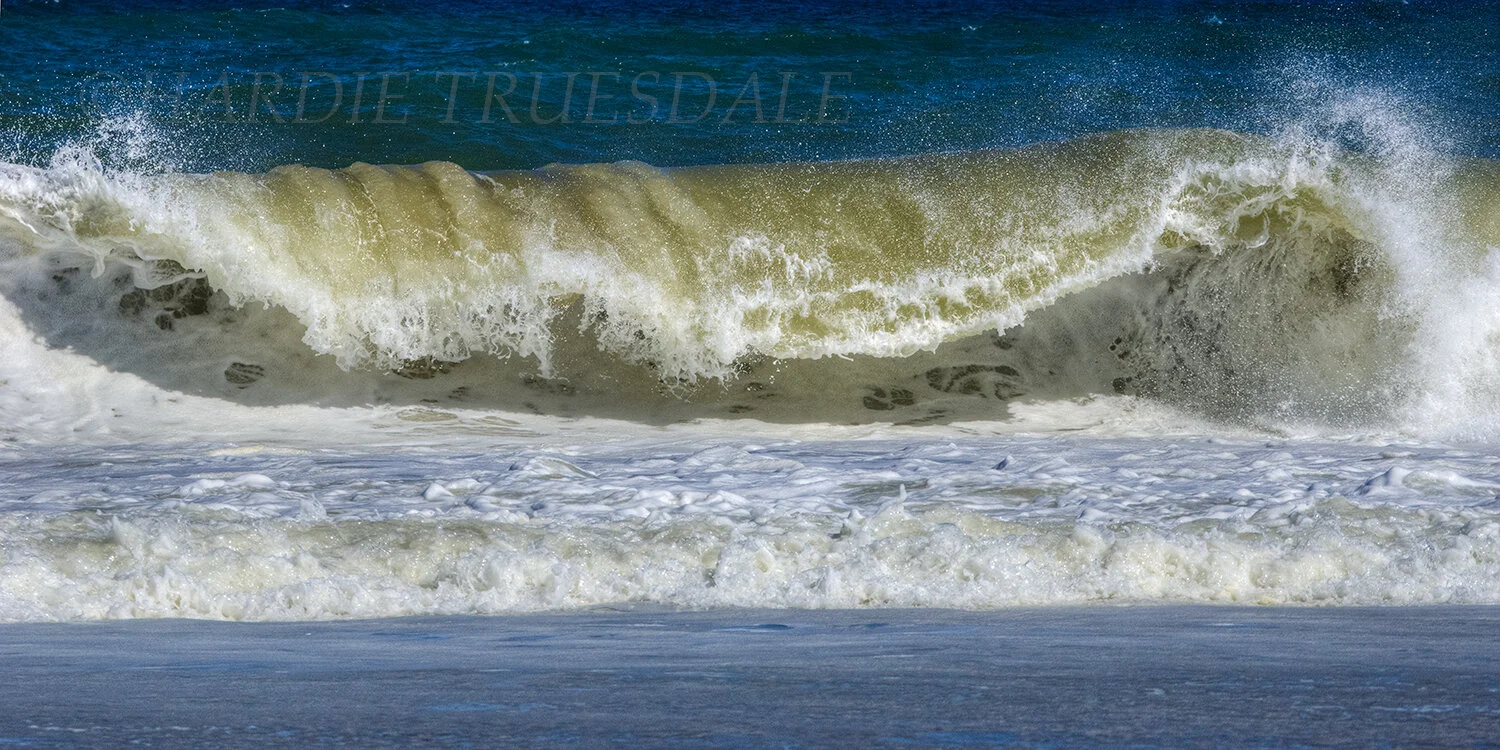 CC#124 Curling Wave, Nauset Light Beach