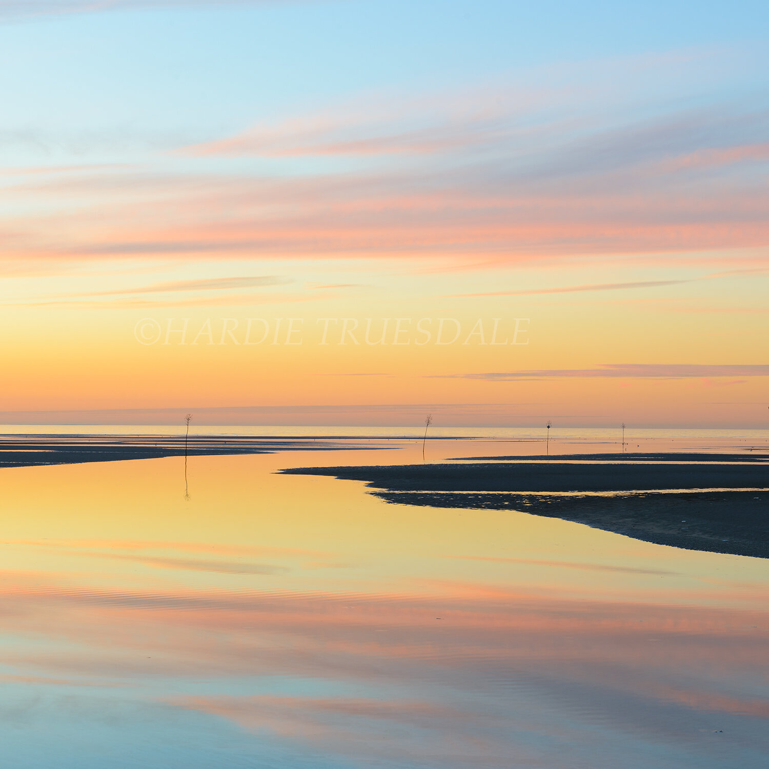 CC#154 The Colors of Dusk, Rock Harbor