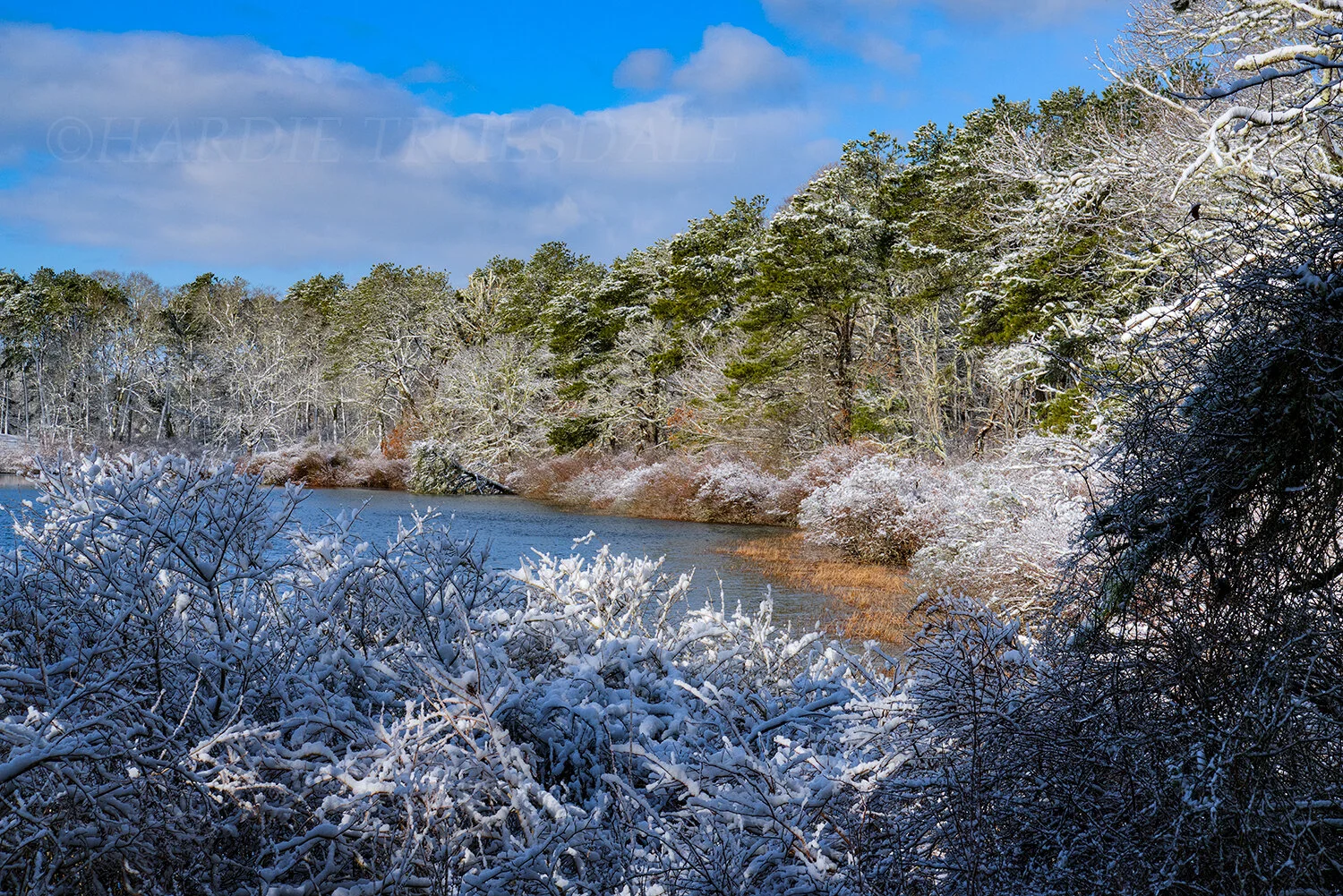 CC#236 After the Storm, Twinings Pond