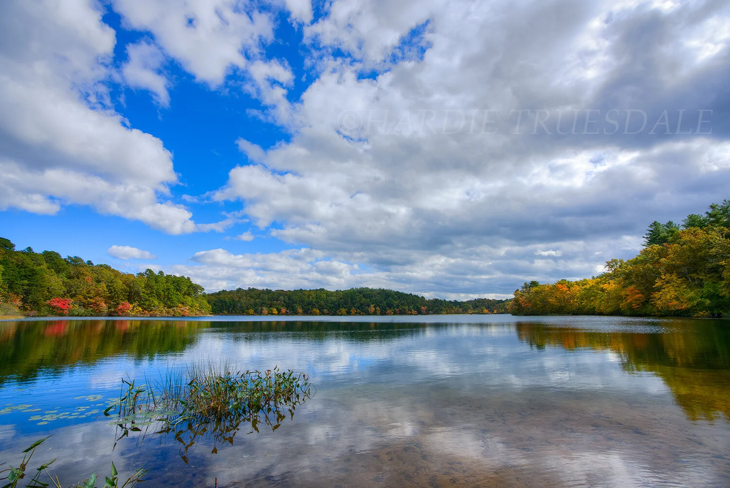 CC#249 Higgins Pond Fall, Nickerson