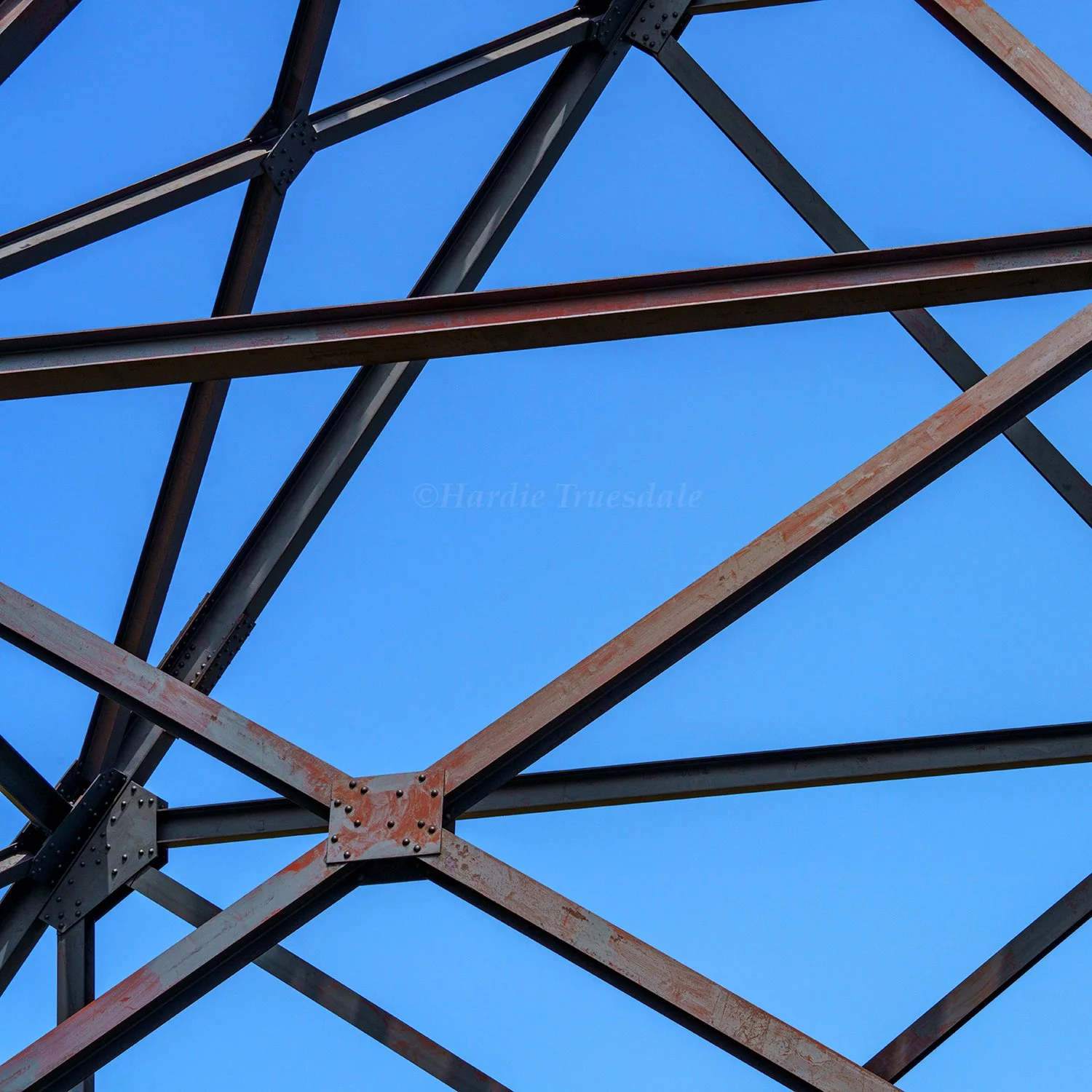 MT 061 sq web.jpg