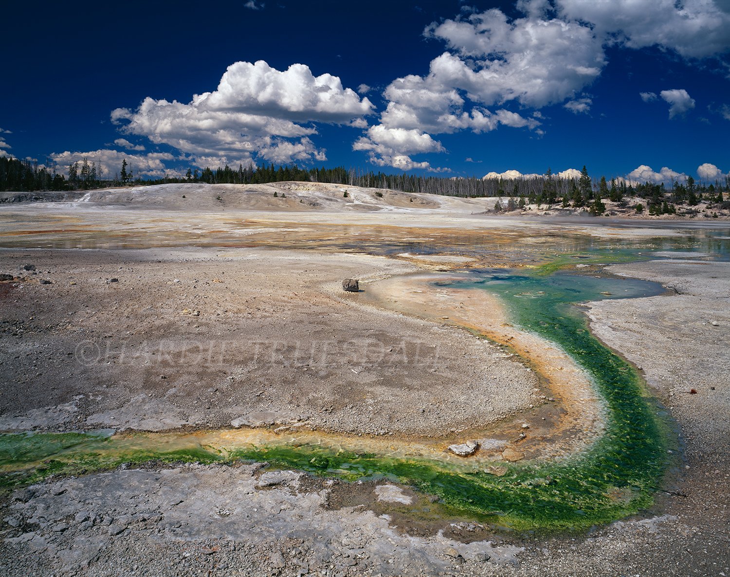 WY 013 sq web.jpg