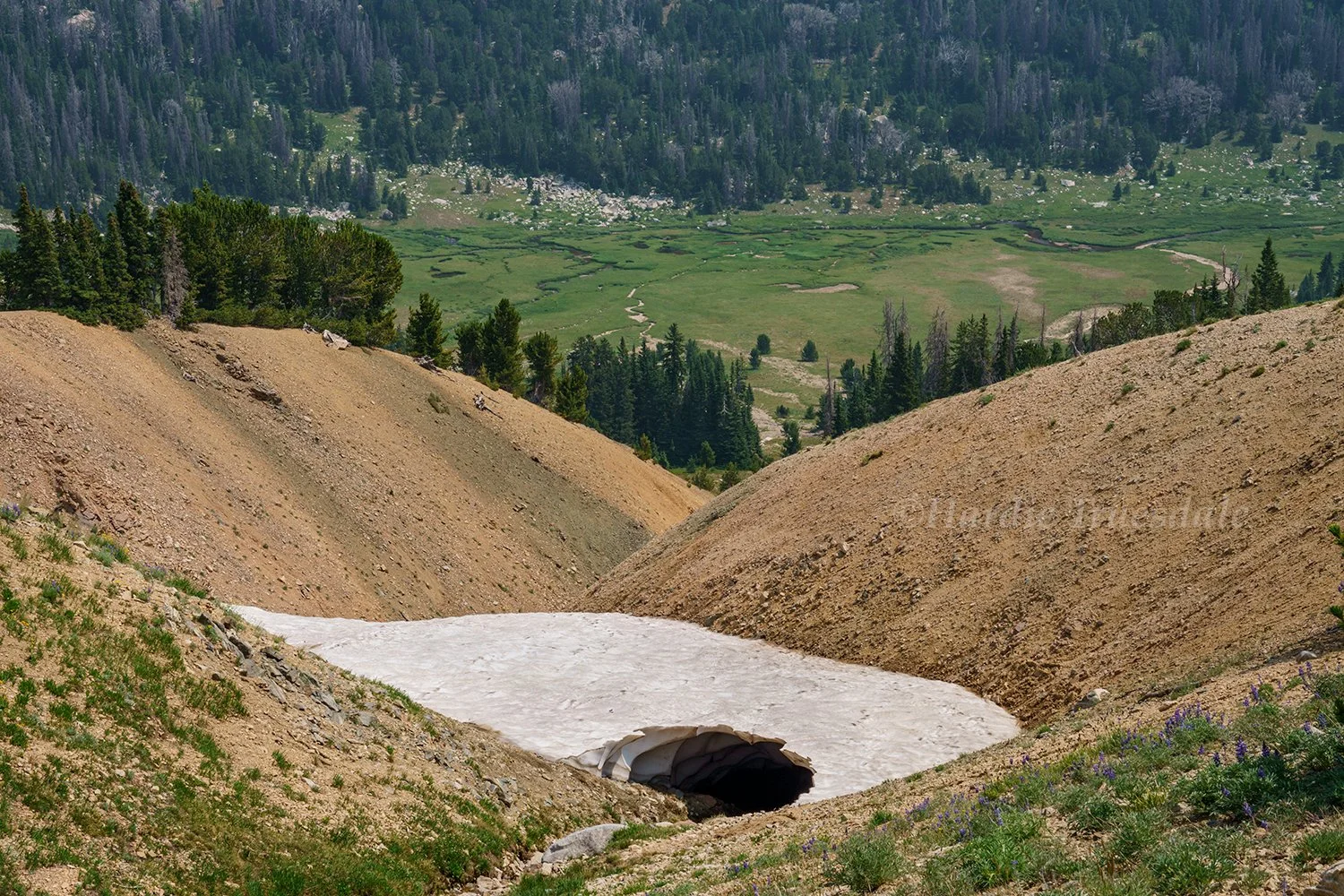 WY 028 sq web.jpg