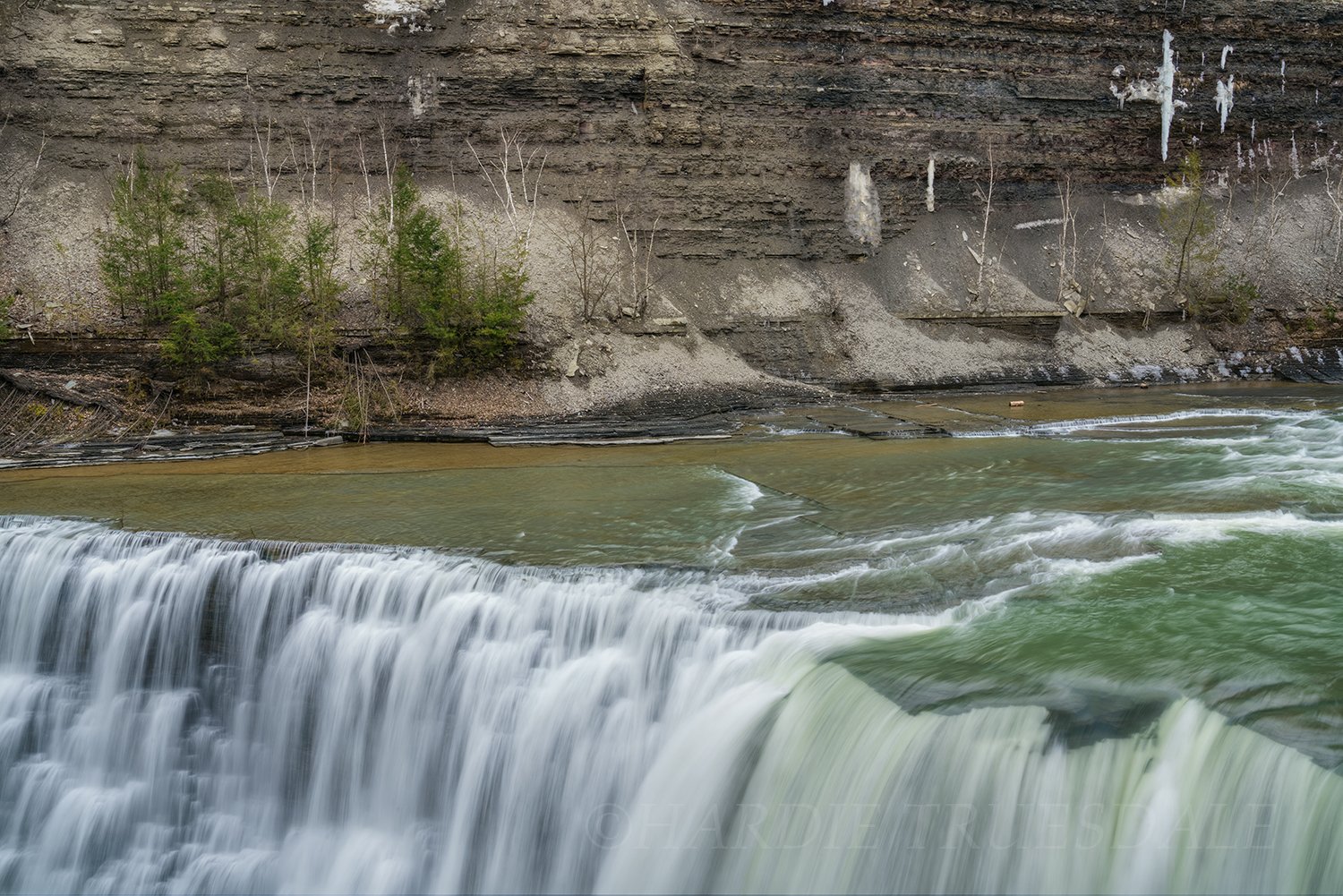 WNY#81 Middle Falls Detail, Letchworth State Park